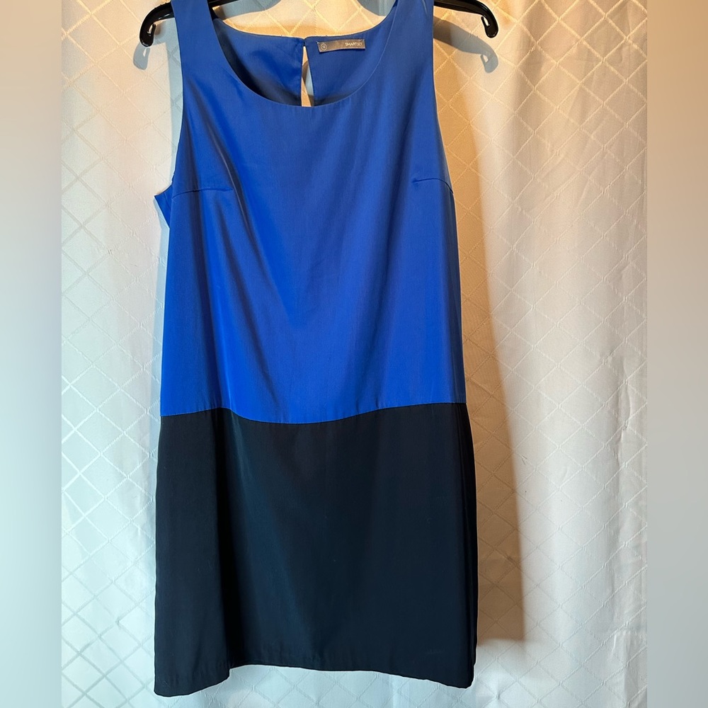 Smart Set sleeveless shift dress